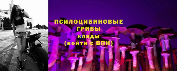 винт Богданович
