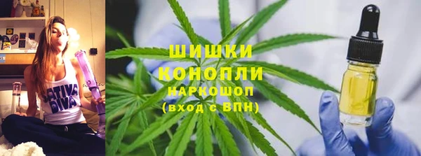 винт Богданович