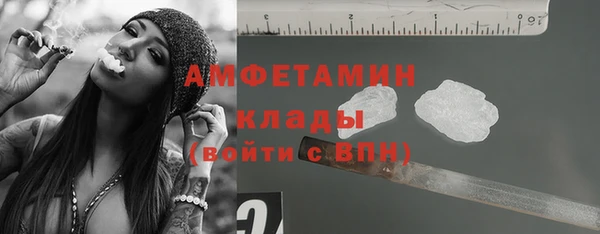 винт Богданович