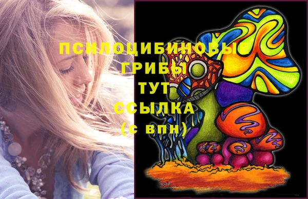 винт Богданович