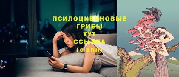 винт Богданович