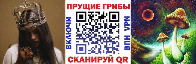 Галлюциногенные грибы MAGIC MUSHROOMS  сайты даркнета Telegram  Ачхой-Мартан 